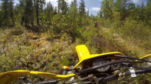 Грязь,бревна и падения!!!