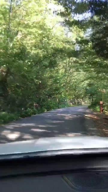 По неведомым дорожкам смотреть онлайн