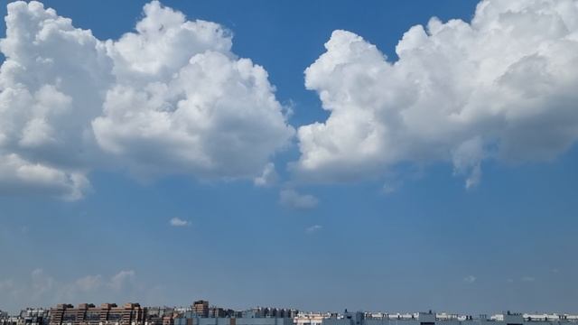 26.07.2025 смотреть онлайн