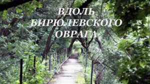 Бирюлевский ручей парка. снято на Индустар 50-2