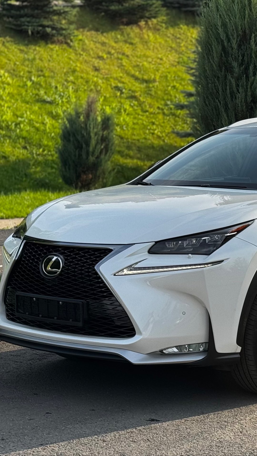 Lexus NX300