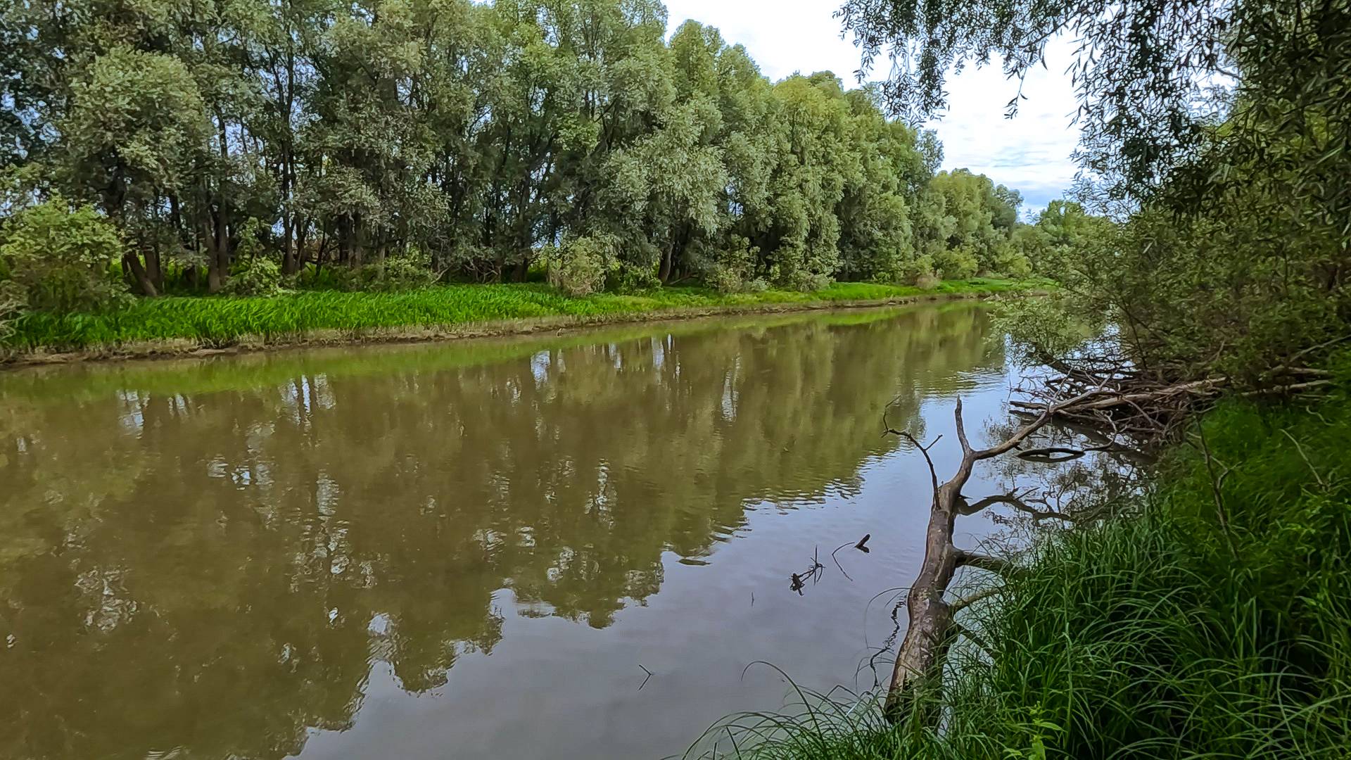 Поиск хищника в протоке в пригороде Новоалтайска. смотреть онлайн