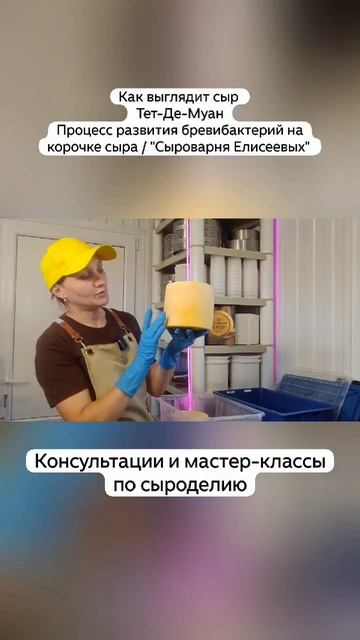 Как выглядит сыр Тет-Де-Муан Процесс развития бревибактерий на корочке сыра / "Сыроварня Елисеевых" смотреть онлайн
