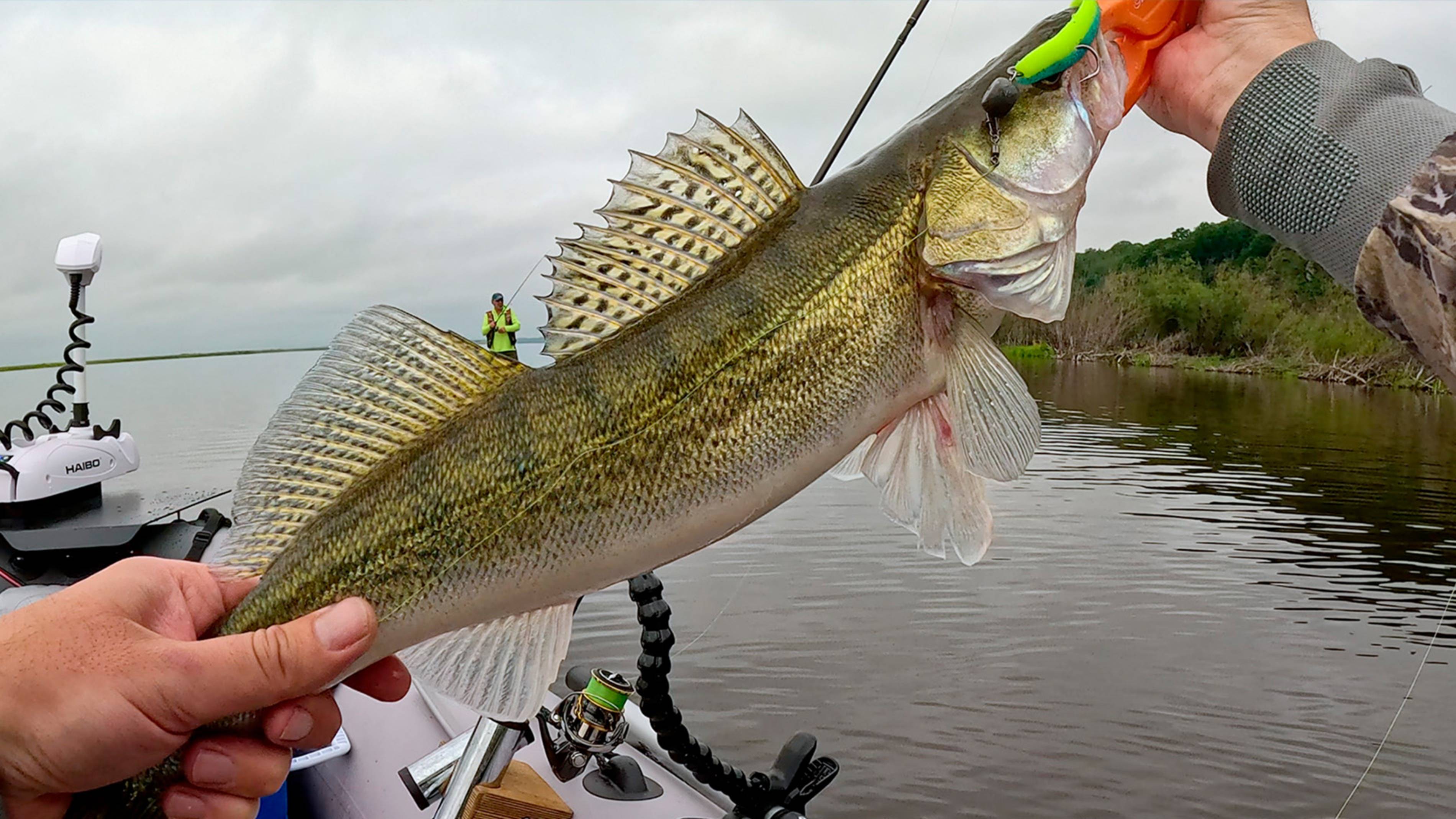 Попал на активный КЛËВ РЫБЫ! Поймал своего ТРОФЕЯ. смотреть онлайн