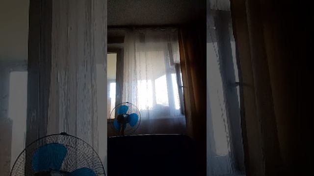 ээвэвэвж смотреть онлайн