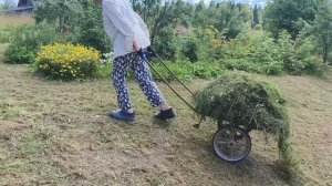 24-25 июля ,собираем ягоды ,залили фундамент под качель.