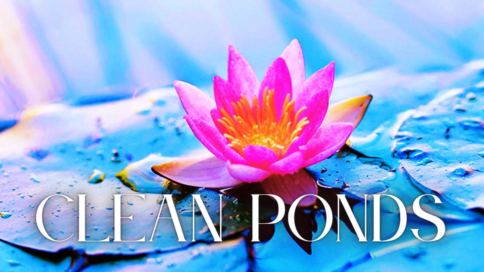 Feel The Emotion: Women's Blues Vocals Shine in 'Clean Ponds'