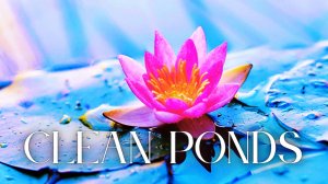 Feel The Emotion: Women's Blues Vocals Shine in 'Clean Ponds'