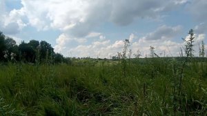 Гибель военкора Филатова - это отвлечение внимания от суда над генералом Поповым?