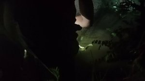 сомы атаковали подъемнтк