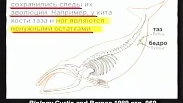 04 Что находится в учебниках - Кент Ховинд Kent Hovind