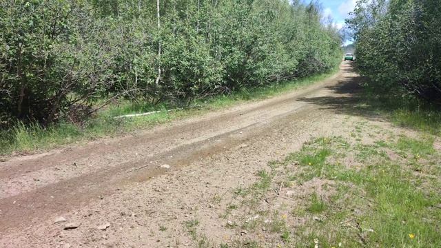 Международное ралли «Шелковый путь» 2025