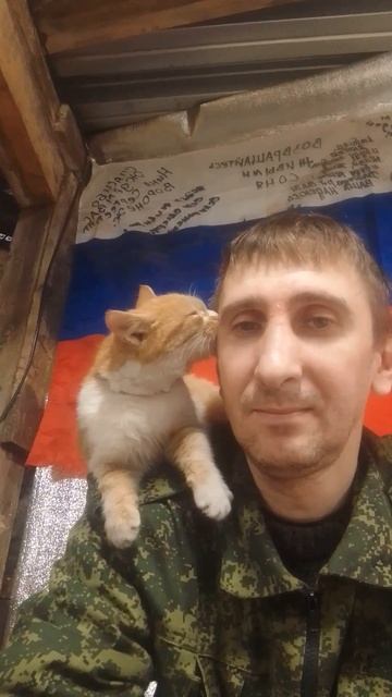 Боевой кот позывной Леопольд