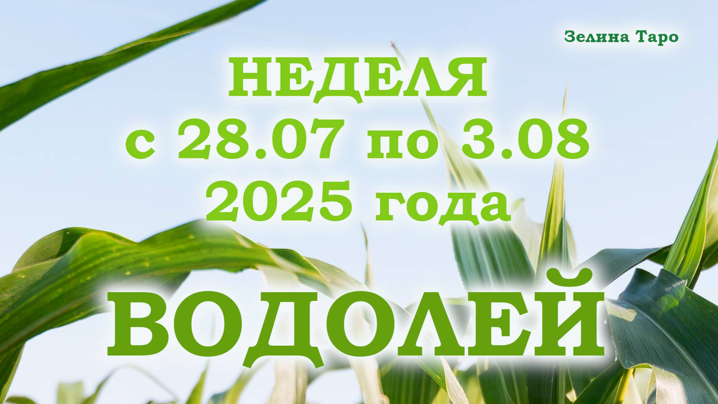 ВОДОЛЕЙ | ТАРО прогноз на неделю с 28 июля по 3 августа 2025 года