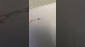 Санаторий Бурденко, Крым, г. Саки, июль, 2025 г.