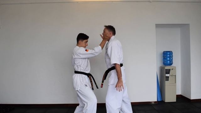 Lesson 6: Kyokushin Karate Kata, Bunkai, Self defence and Physical Strength Partner Training смотреть онлайн