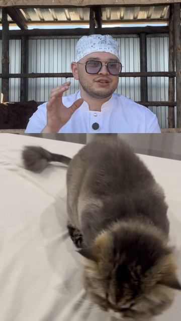 Урок доступен по ссылке в описании