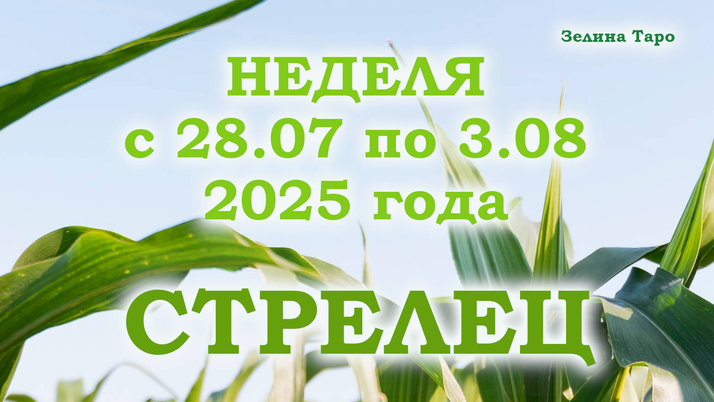 СТРЕЛЕЦ | ТАРО прогноз на неделю с 28 июля по 3 августа 2025 года