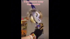 Новости канала + подборка бумажных драконов из лайк