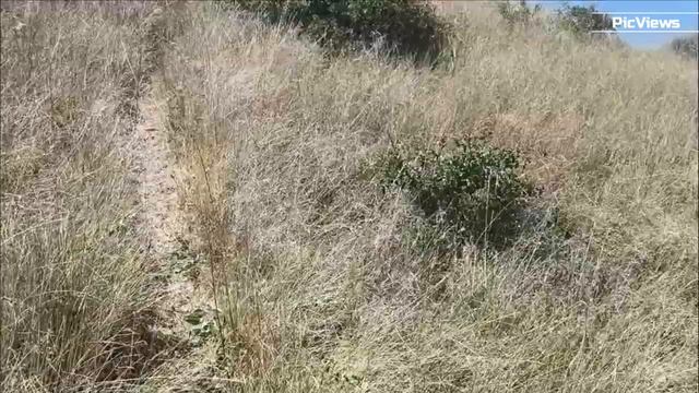 Крым Керчь побережье села Юркино сегодня 26 июля 2025. Море и погода в Крыму сейчас смотреть онлайн