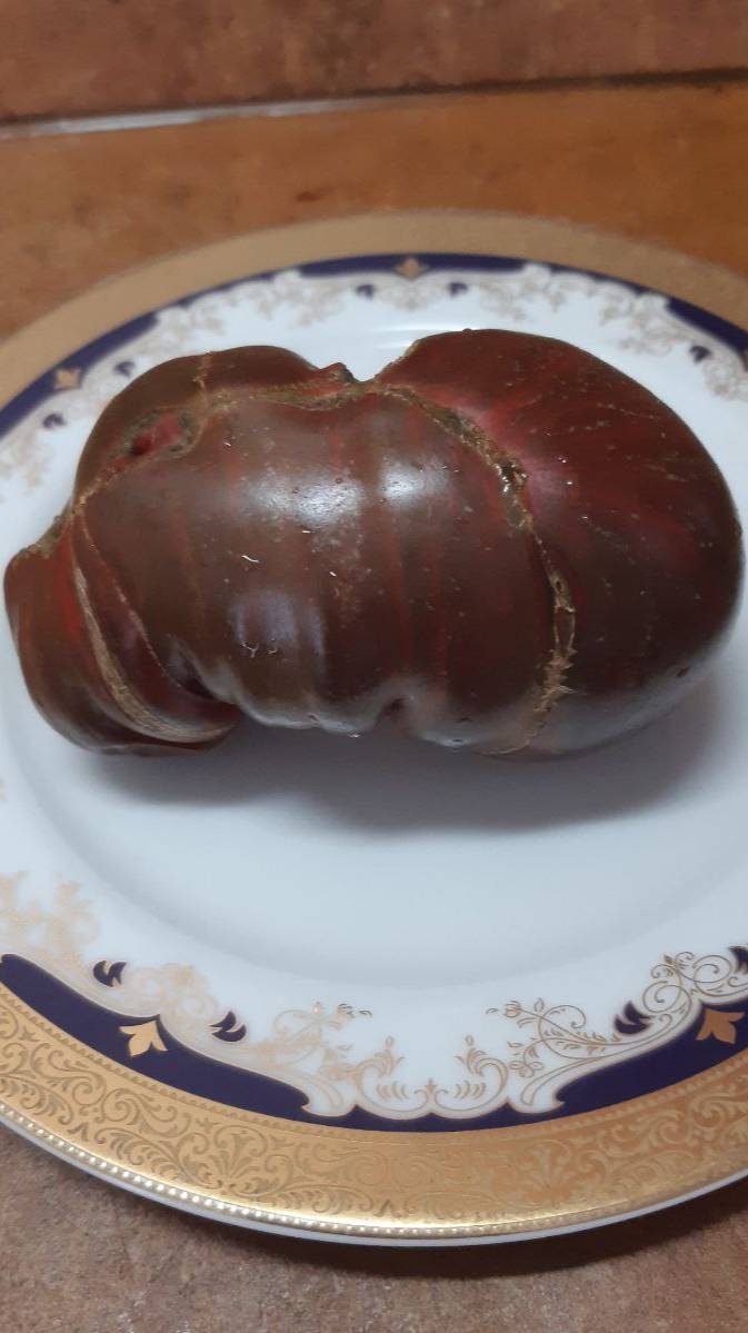 Восставший (Мятежный) Звездный Истребитель: лунный Свет Блейна, (США) - СУПЕР НОВИНКА. смотреть онлайн