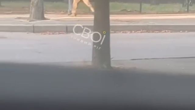 Telegram-cloud-document-2-5197438356950126127