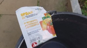 Профилактика от фитофторы. Ордан для обработки томатов и картофеля