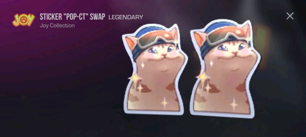 ролик с моей кошкой