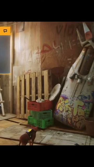 B12 был учёным!! 😺👾🤖 #stray #straycat #shorts #shortvideo смотреть онлайн