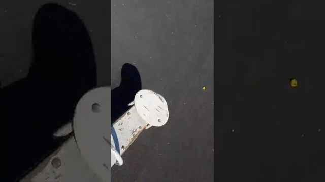орппл смотреть онлайн