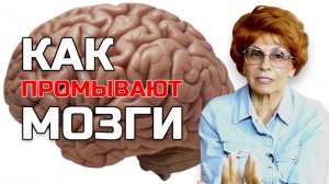 КАК ПРОМЫВАЮТ МОЗГИ | Елена СЪЯНОВА