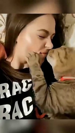 Приколюхи с котиками😅😅😅