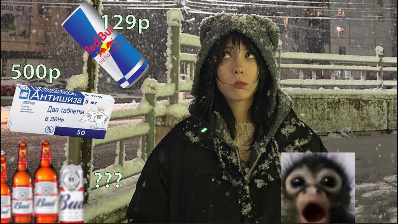 сколько стоит моя жизнь (влок)