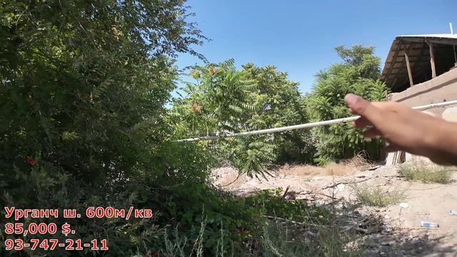 ЖОЙ ЎРНИ! 600 КВАДРАТ УРГАНЧ МАРКАЗИДА СОТИЛАДИ! смотреть онлайн