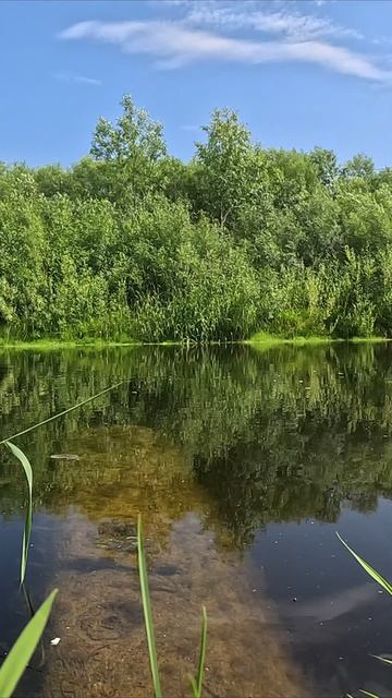 Всем привет хорошего дня смотреть онлайн