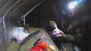 ЖИЗНЬ В ТАЙГЕ УТРО В ЛЕСНОЙ ИЗБЕ СТРОИТЕЛЬСТВО ДОМА ИЗ ВЕТРОВАЛЬНЫХ ДЕРЕВЬЕВ В ОДИНОЧКУ