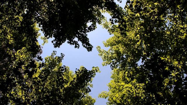 Лучшая МЕДИТАЦИЯ Храм Тишины Борьба со Стрессом Медитация для Начинающих Йога Елена Малова смотреть онлайн