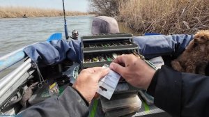 НАША РЫБАЛКА В АСТРАХАНИ (часть 6) ТРОФЕЙ ПО САЗАНУ ВЗЯТ!