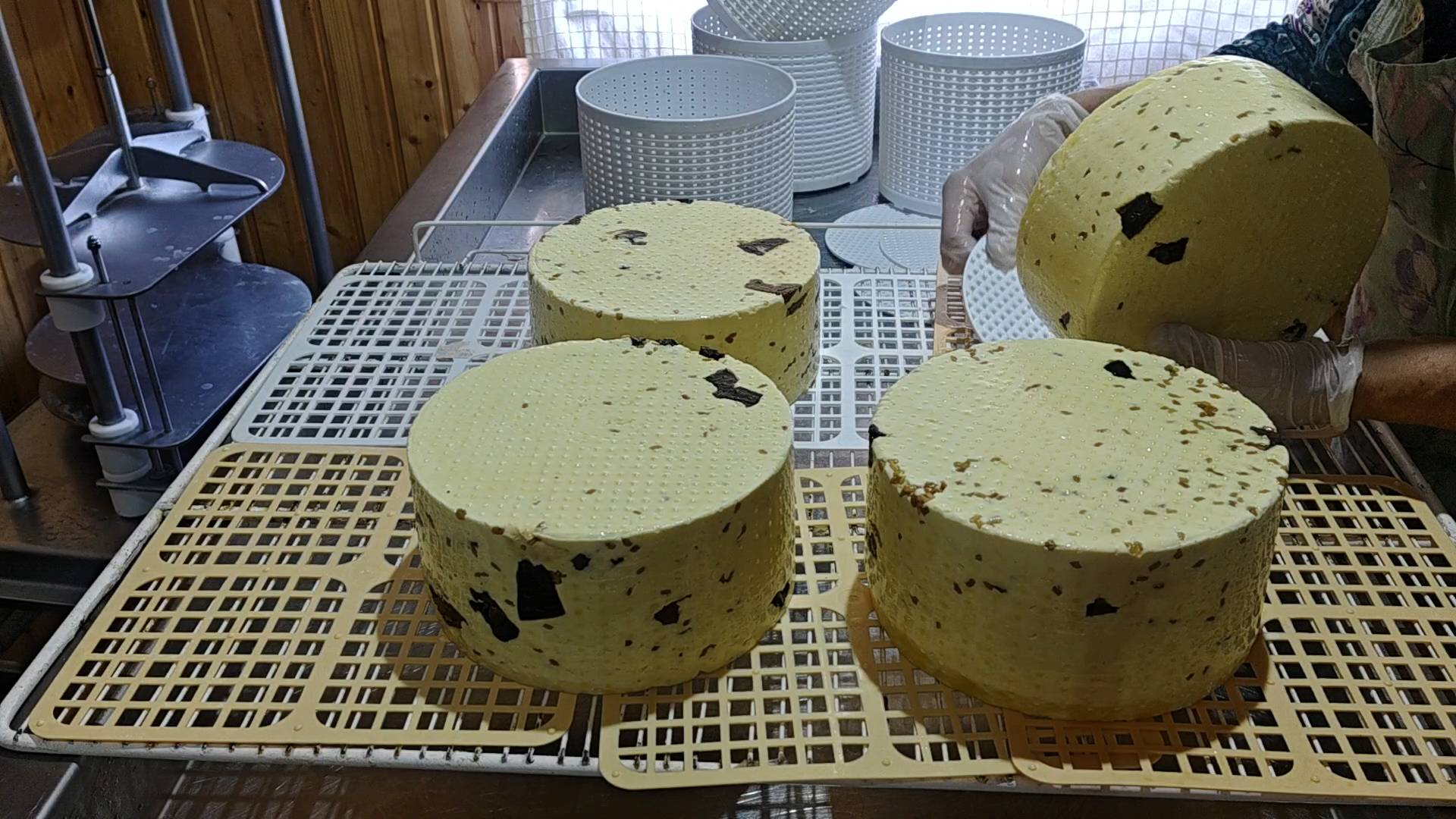 КАЧОТТА С ЛЕСНЫМИ ГРИБАМИ ! смотреть онлайн