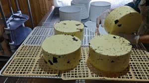 КАЧОТТА С ЛЕСНЫМИ ГРИБАМИ !