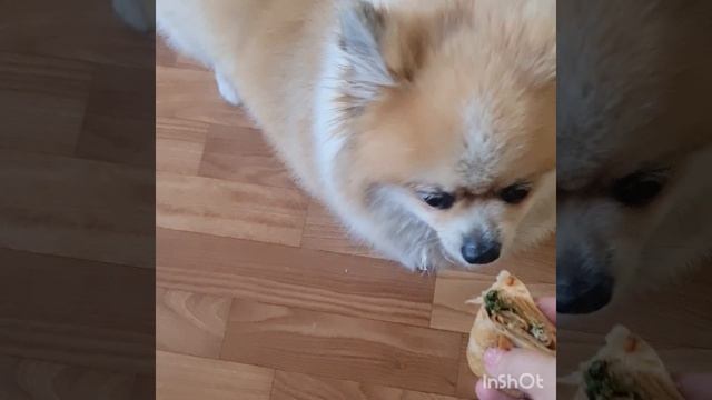 Мой день смотреть онлайн