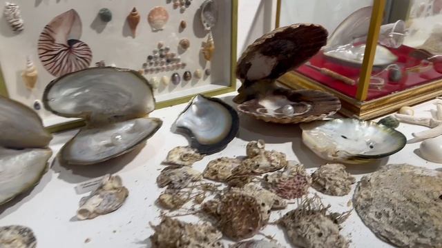 Музей традиционной культуры Катара . Все о том , с чего начался Катар .