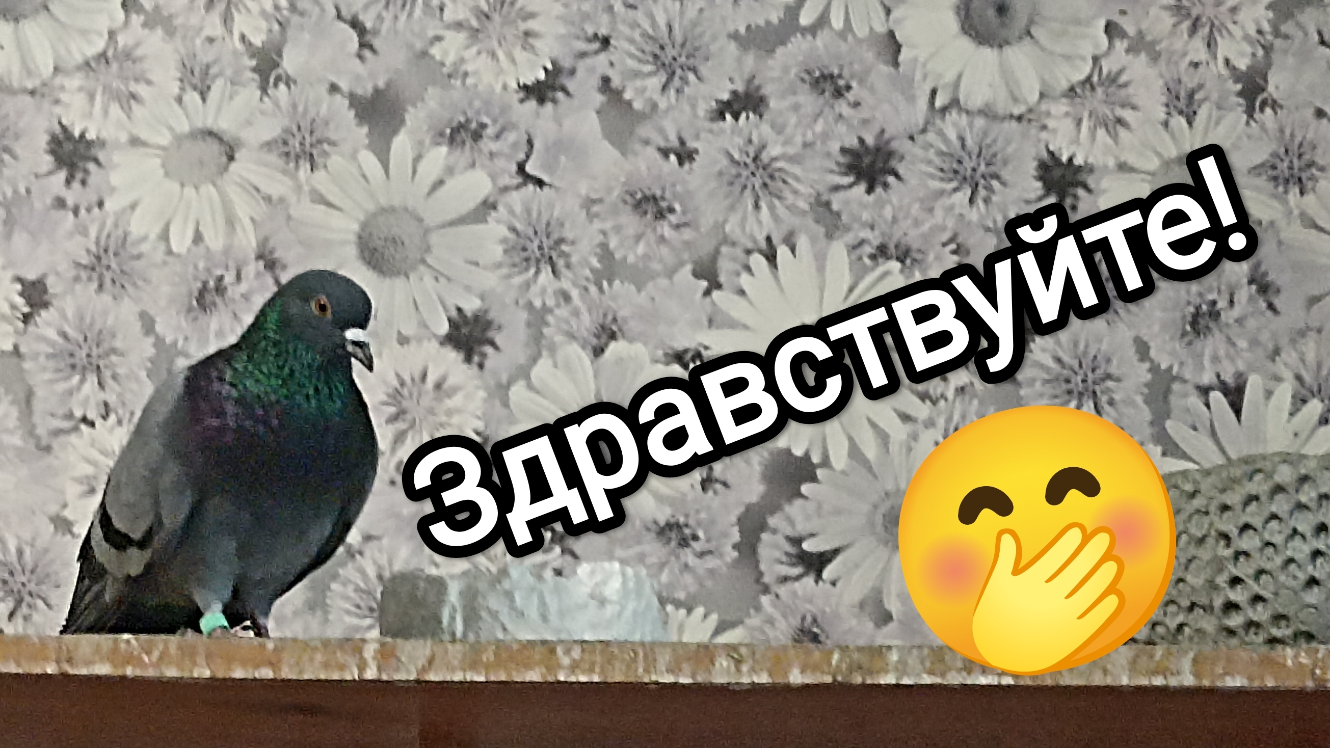 Видео - приветствие