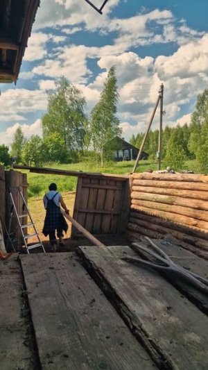 НОВЫЕ НАХОДКИ ХОЗ ДВОРА!