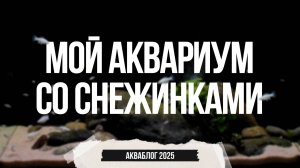 Мой аквариум со снежинками. Часть 1