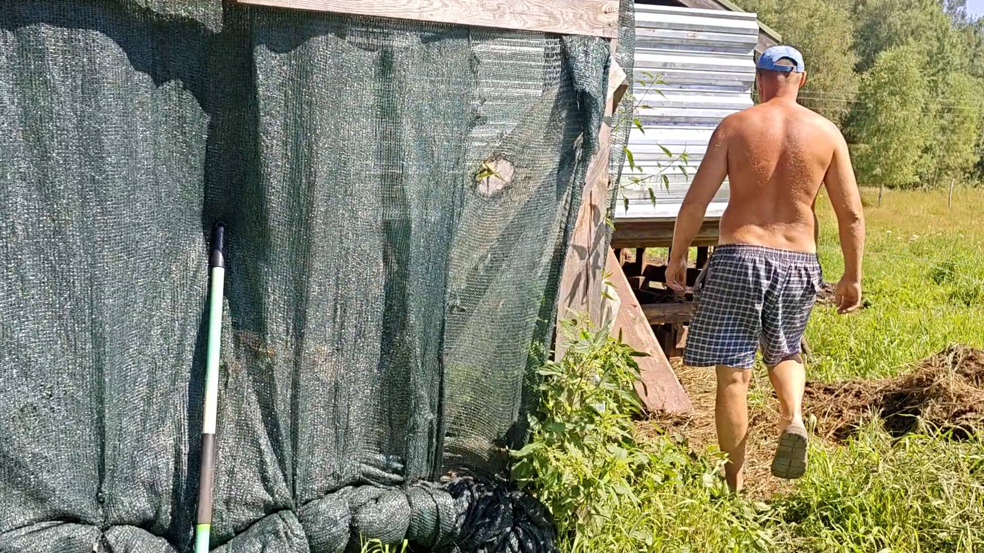 ЛЕША ИСПОРТИЛ БЫКА! смотреть онлайн