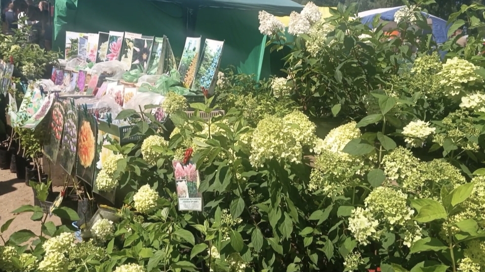 26-07-2025💥Влог💥суббота смотреть онлайн