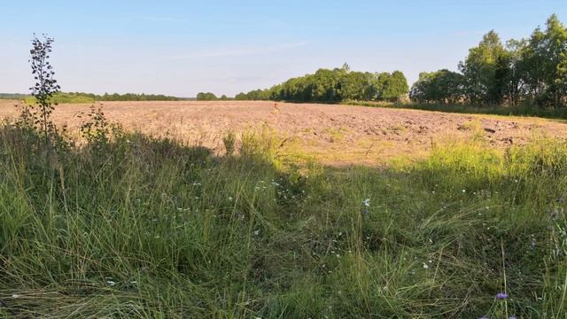 Нашли царское серебро