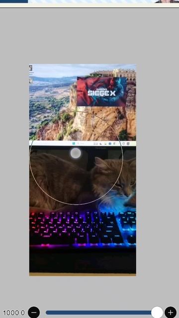 мой котик рик смотреть онлайн