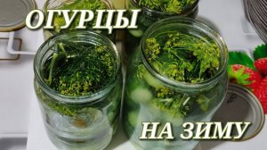 Хрустящие огурцы на зиму. Быстрый и простой рецепт засолки огурцов на зиму